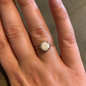 Megan added a photo of their purchase