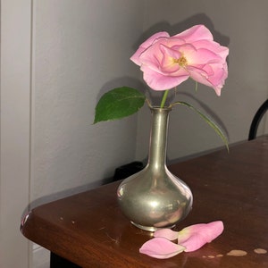 Richard added a photo of their purchase