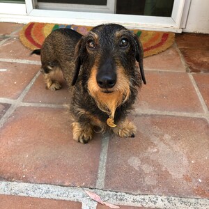 Crista adicionaram uma foto da sua compra