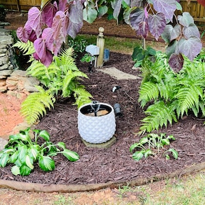 Carolin added a photo of their purchase