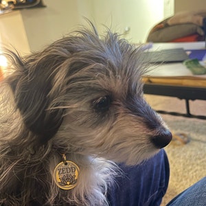 Shannon added a photo of their purchase