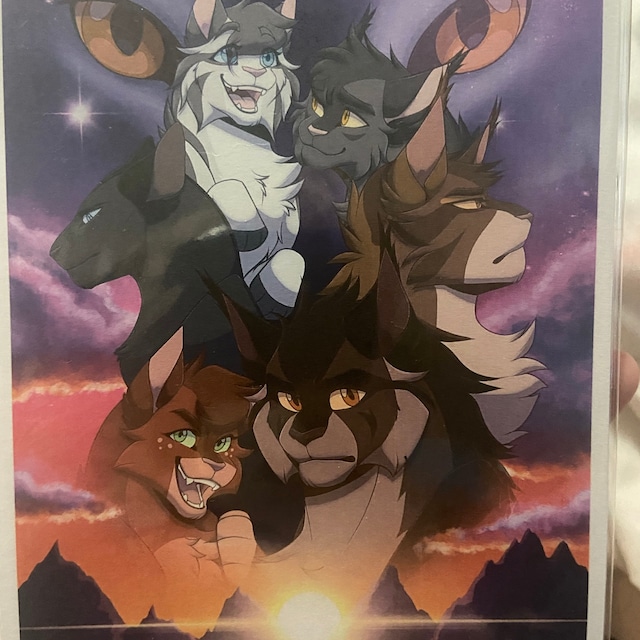10/52pcs Cartoon Warriors Cats Firestar Novel Anime Cute Sticker
