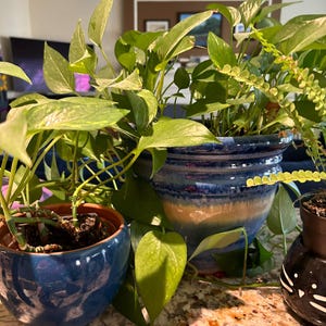 Karen added a photo of their purchase