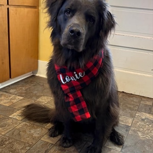 Lynn added a photo of their purchase