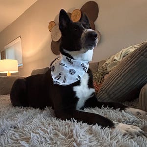 Bridget added a photo of their purchase