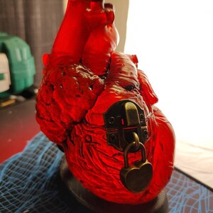 Realistic Heart-shaped Box 2 Styles Anatomical Heart - Etsy