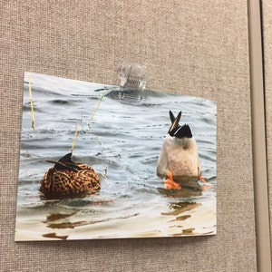 Babs heeft een foto van de aankoop toegevoegd