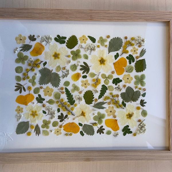 Rare Herbier De Jérusalem Et De Terre Sainte