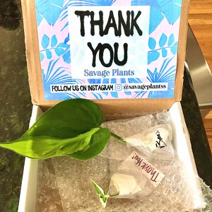 M Hawley added a photo of their purchase