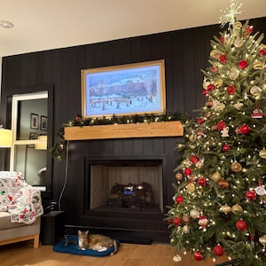 Emily added a photo of their purchase