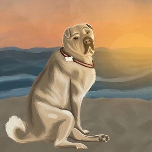 Nicole added a photo of their purchase