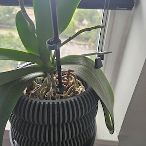 Kelly added a photo of their purchase