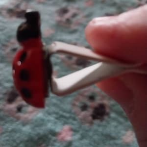 Francine added a photo of their purchase