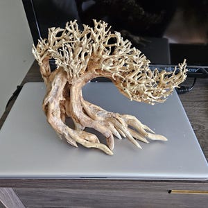 Michelle added a photo of their purchase
