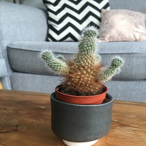 Alexandra added a photo of their purchase