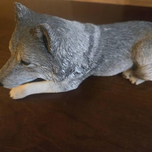 Rachel hat ein Foto des gekauften Artikels hinzugefügt