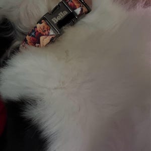 Cuenta inactiva ha añadido una foto de su compra