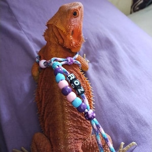 Rae added a photo of their purchase