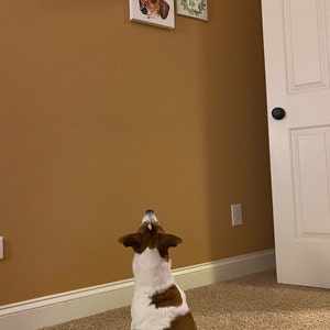 Cuenta inactiva ha añadido una foto de su compra
