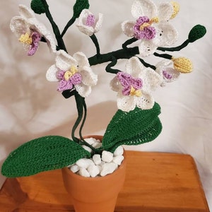 Crochet Mini Moth Orchid Pattern Photo Tutorial for Decor - Etsy