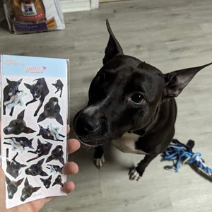 Thanh さんが購入した商品の写真を追加しました