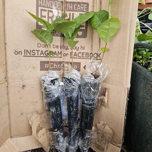 Exa added a photo of their purchase