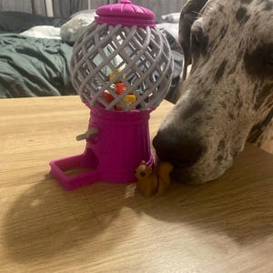 Danae added a photo of their purchase