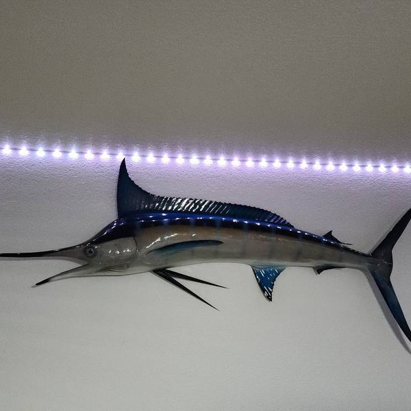 Redfish Fish Mount - 40 Inches - Half Mount - Etsy
