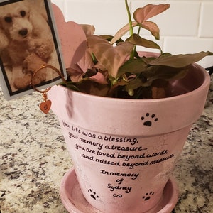 Pamela added a photo of their purchase