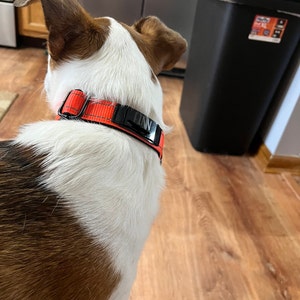Abbi added a photo of their purchase