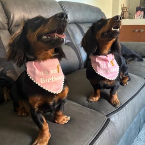 Rachel added a photo of their purchase