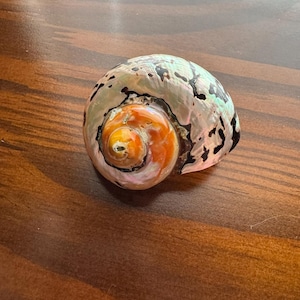 Cordelia added a photo of their purchase