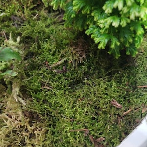 Michael a ajouté une photo de son achat