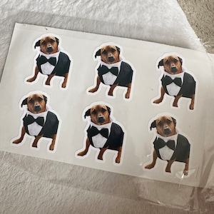 Sophie added a photo of their purchase