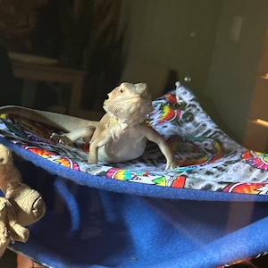 Olivia added a photo of their purchase