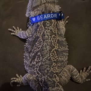 lexie hat ein Foto des gekauften Artikels hinzugefügt