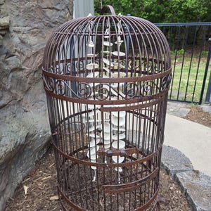 Sharon added a photo of their purchase