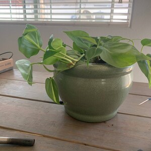 n soedjadi added a photo of their purchase