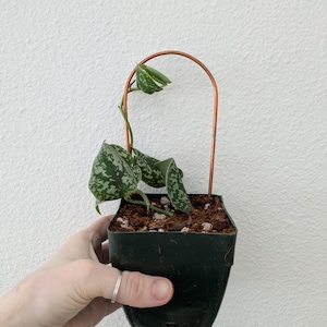 J. added a photo of their purchase