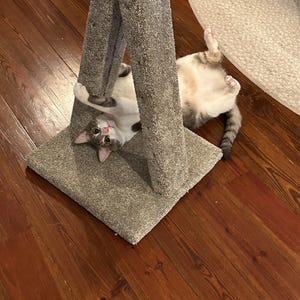 Marie added a photo of their purchase