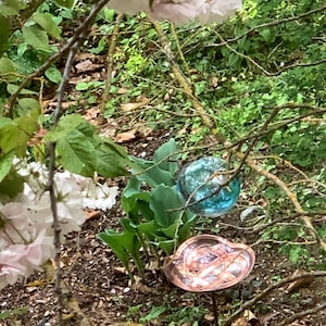Lauren hat ein Foto des gekauften Artikels hinzugefügt