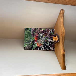 Diana added a photo of their purchase
