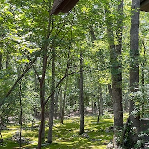 Travis added a photo of their purchase