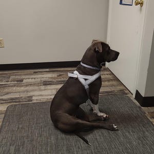 Michele ha añadido una foto de su compra