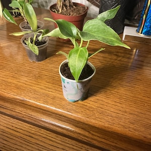 Hubtr added a photo of their purchase