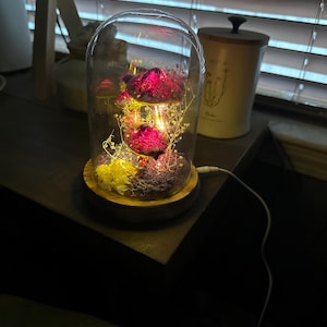 Dan added a photo of their purchase
