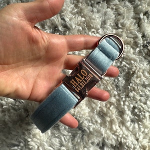 Robert added a photo of their purchase
