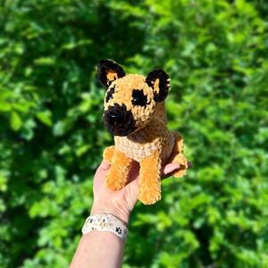 Julia hat ein Foto des gekauften Artikels hinzugefügt