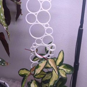 Amanda added a photo of their purchase