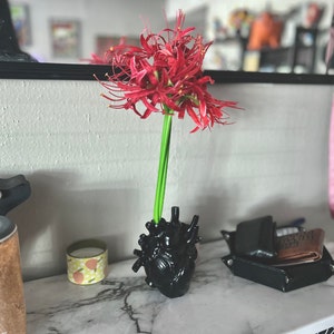 Vanessa added a photo of their purchase